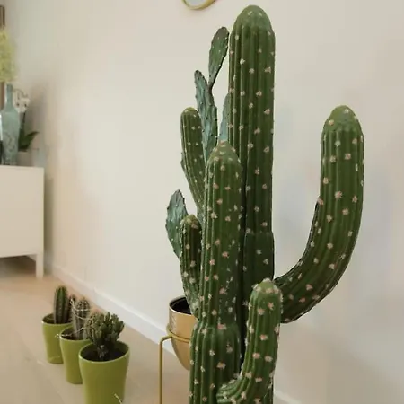 Stunning Sea View In